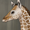 custom by #2068: An adorable baby giraffe brought to you by {Giraffe} and made by Nyctra